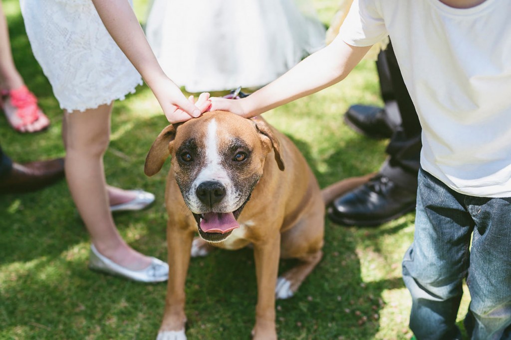 margret_river_south_west_perth_wedding_photographer0962